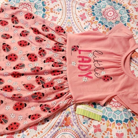 NWT peanut & ollie Toddler Dress Ladybugs/Daisies - Picture 4 of 4